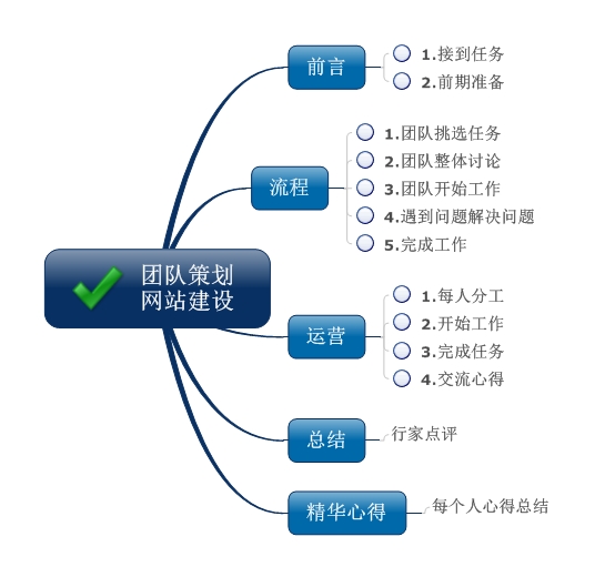 快消品网站建设团队策划流程