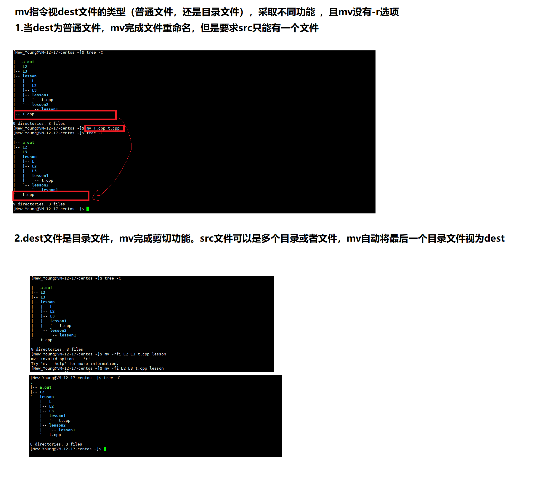 image-20220511222243545