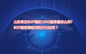 山东枣庄BGP高防100G服务器怎么样?BGP服务器租用性价比如何？