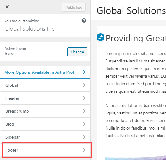 The Footer tab in the WordPress theme customizer